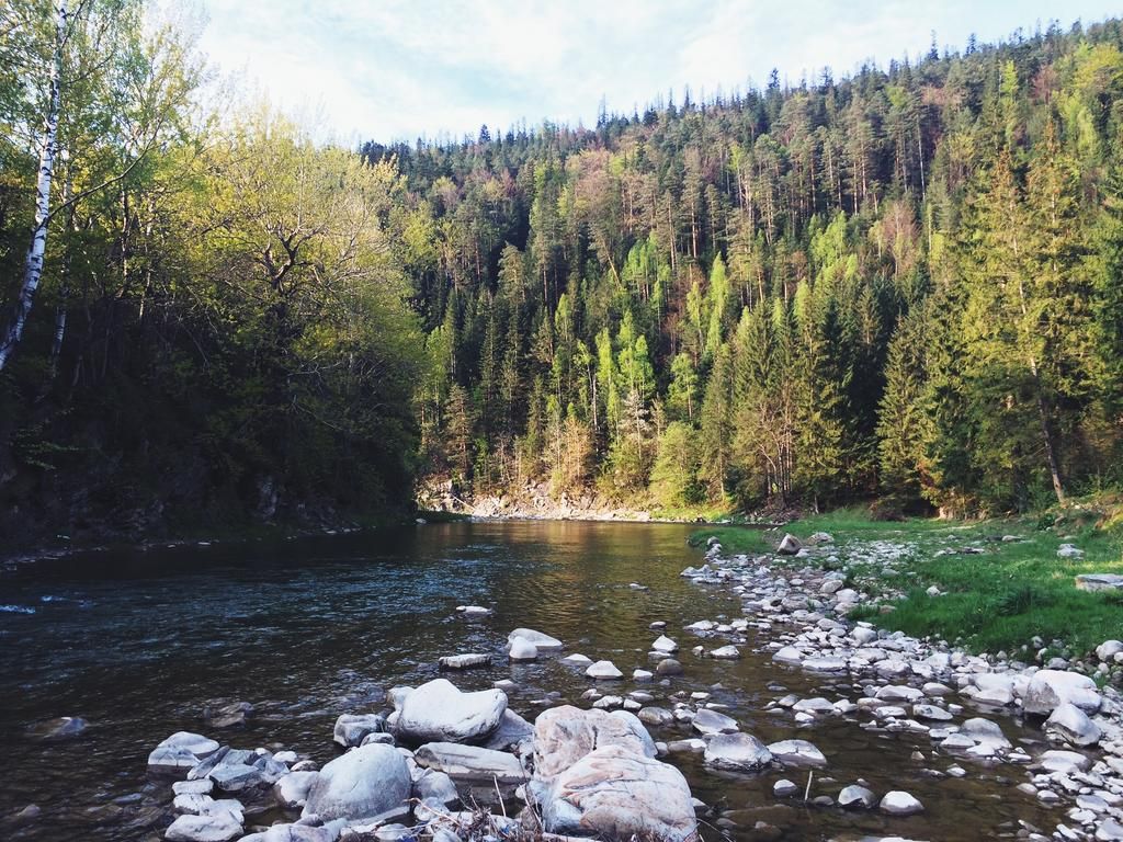 Отель Дача Буковель